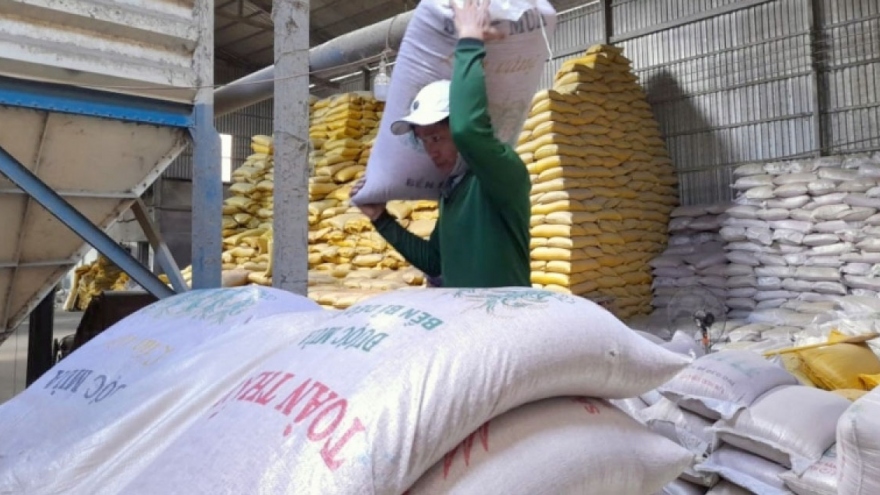 Vietnamese rice price soars amid India tightening export restrictions